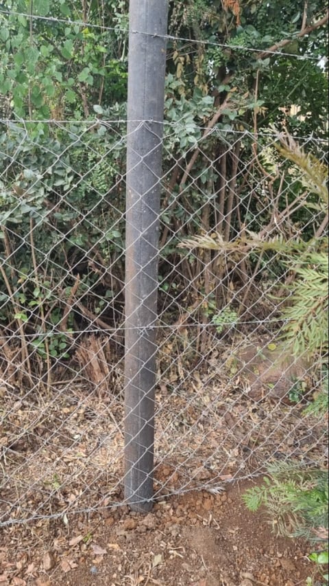 Metal utility pole with chain-link fence surrounded by overgrown vegetation and dried brush